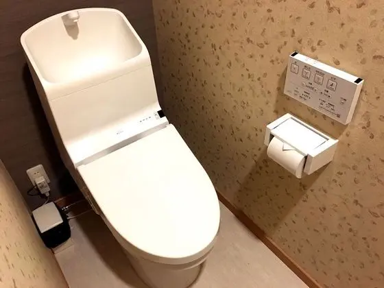 Ev