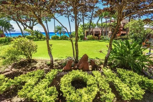 Daire, 1 Yatak Odası