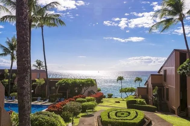 Daire, 1 Yatak Odası