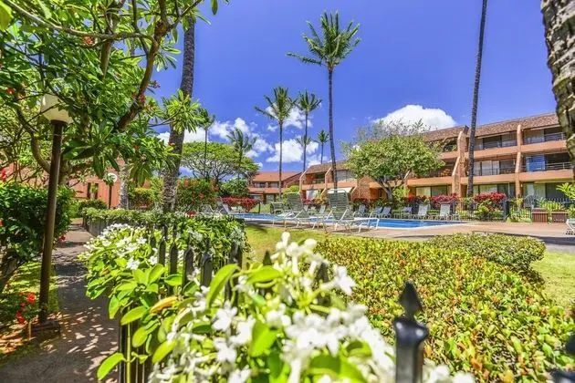 Daire, 1 Yatak Odası