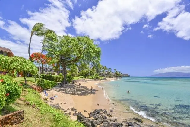 Daire, 1 Yatak Odası