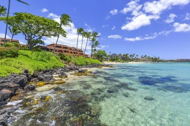 Daire, 1 Yatak Odası