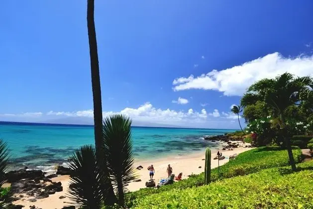 Daire, 1 Yatak Odası