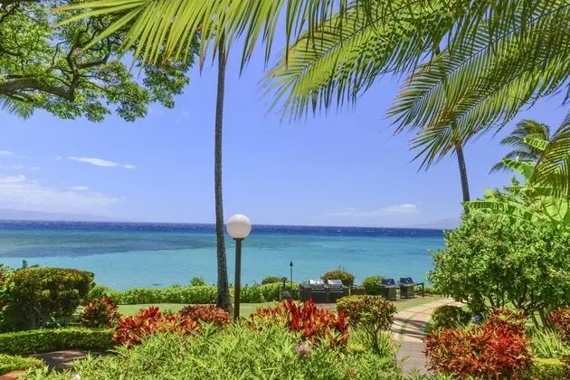 Daire, 1 Yatak Odası