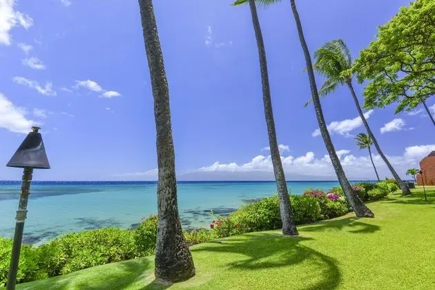 Daire, 1 Yatak Odası