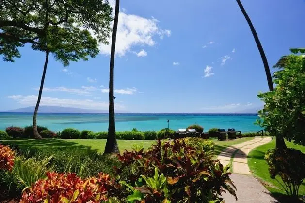 Daire, 1 Yatak Odası