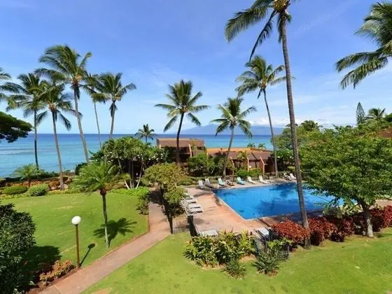 Daire, 1 Yatak Odası