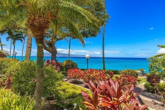 Daire, 1 Yatak Odası