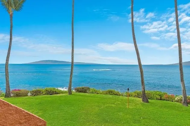 Daire, 1 Yatak Odası