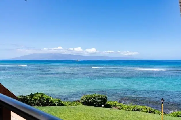 Daire, 1 Yatak Odası