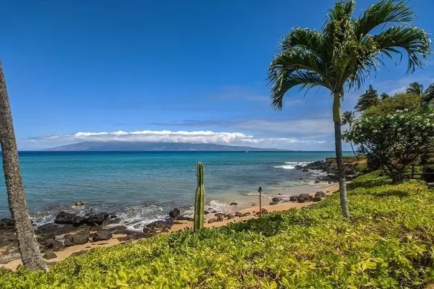 Daire, 1 Yatak Odası