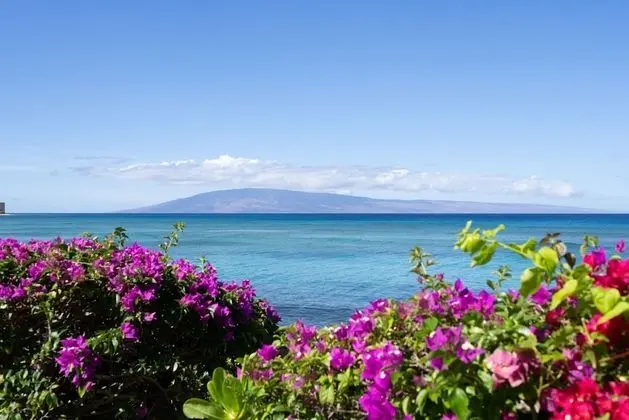 Daire, 1 Yatak Odası