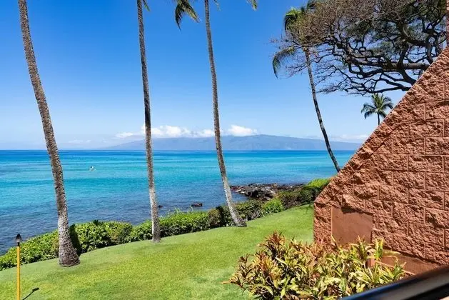 Daire, 1 Yatak Odası