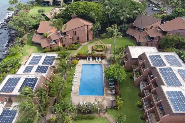 Daire, 1 Yatak Odası