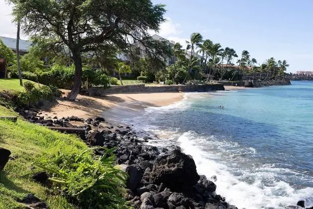 Daire, 1 Yatak Odası