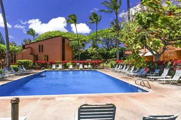 Daire, 1 Yatak Odası