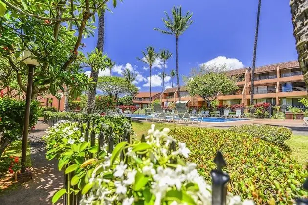 Daire, 1 Yatak Odası