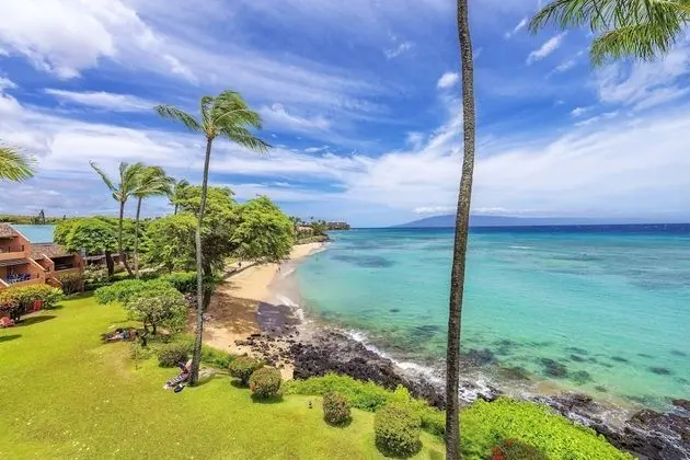 Daire, 1 Yatak Odası