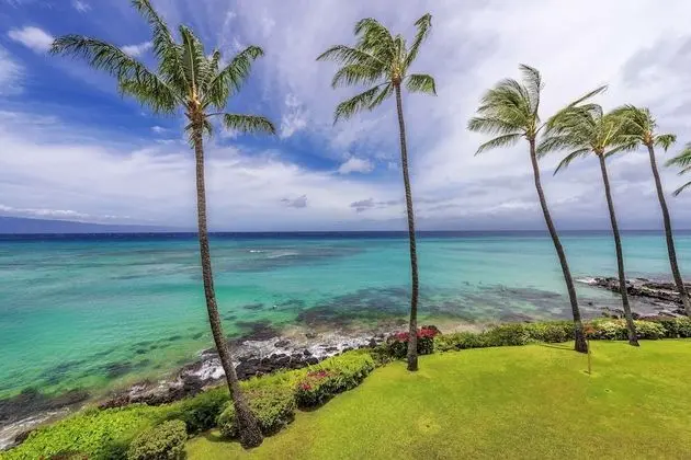 Daire, 1 Yatak Odası