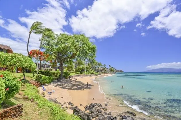 Daire, 1 Yatak Odası