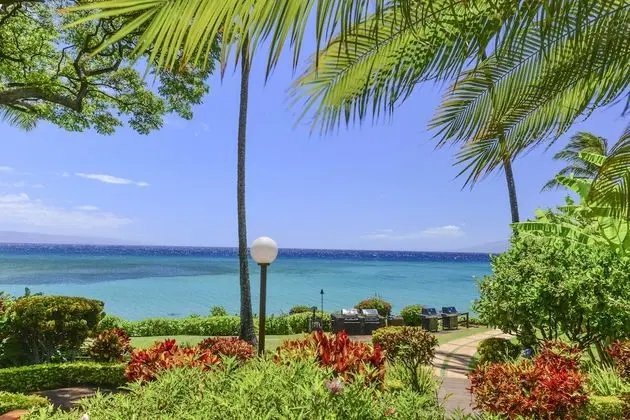 Daire, 1 Yatak Odası