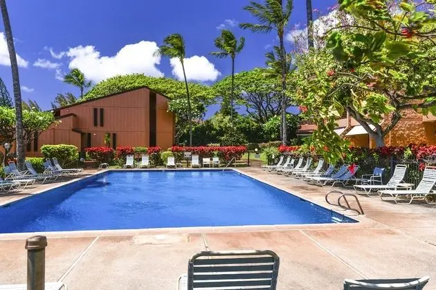 Daire, 1 Yatak Odası