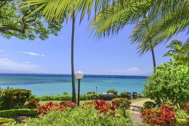 Daire, 1 Yatak Odası