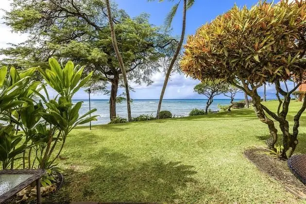 Daire, 1 Yatak Odası