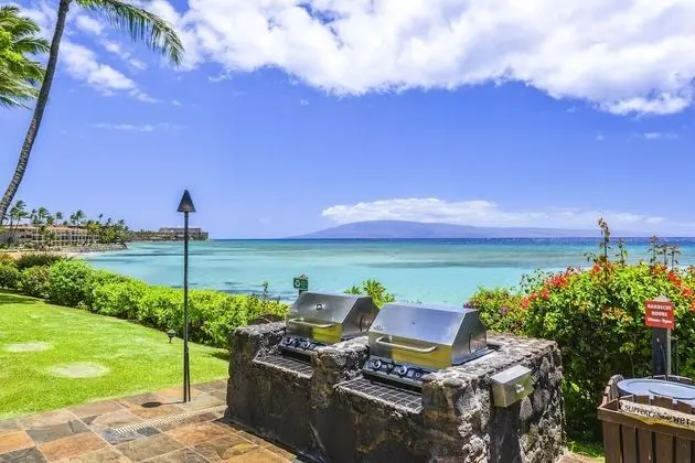 Daire, 1 Yatak Odası