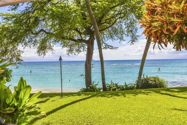 Daire, 1 Yatak Odası