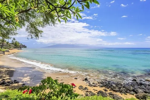 Daire, 1 Yatak Odası