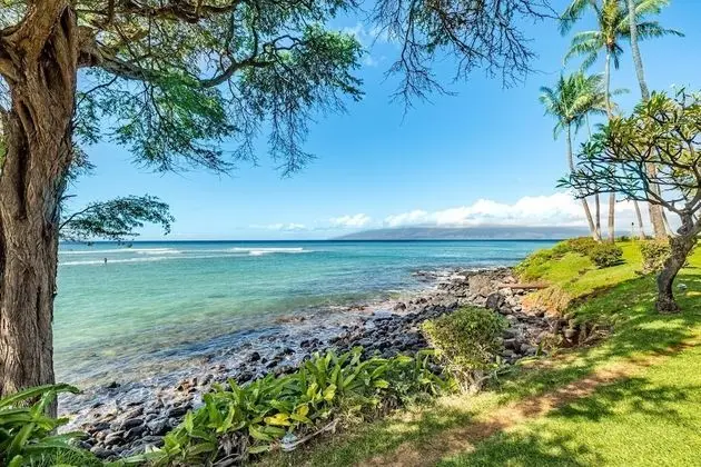 Daire, 1 Yatak Odası