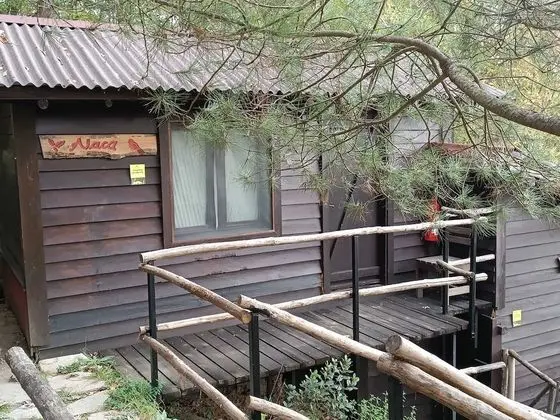 Basic Room, Multiple Beds, Valley View, Mountainside