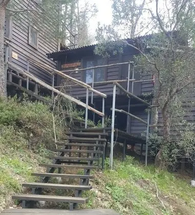 Basic Room, Multiple Beds, Valley View, Mountainside