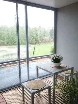Süit