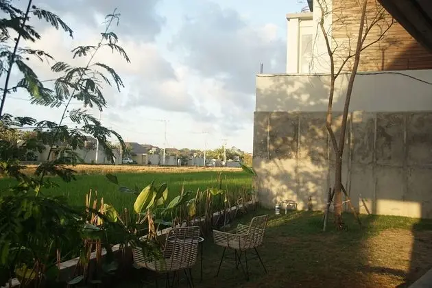 12-Bed Mixed Dormitory