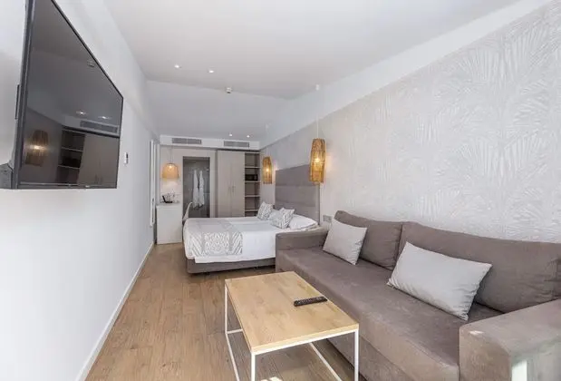 Adults Only Junior Suite (+18 years)