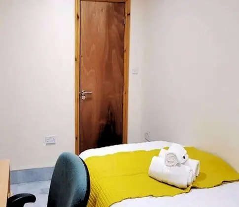 Deluxe Tek Büyük Yataklı Oda, 1 Çift Kişilik Yatak, Banyolu/Duşlu