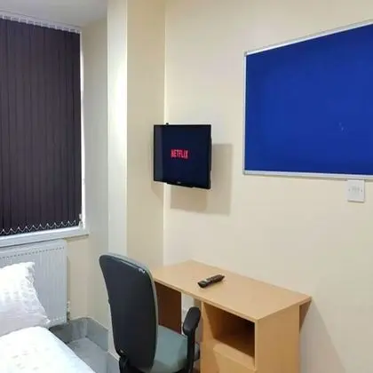 Deluxe Tek Büyük Yataklı Oda, 1 Çift Kişilik Yatak, Banyolu/Duşlu