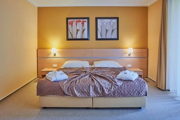 Superior Tek Büyük veya İki Ayrı Yataklı Oda