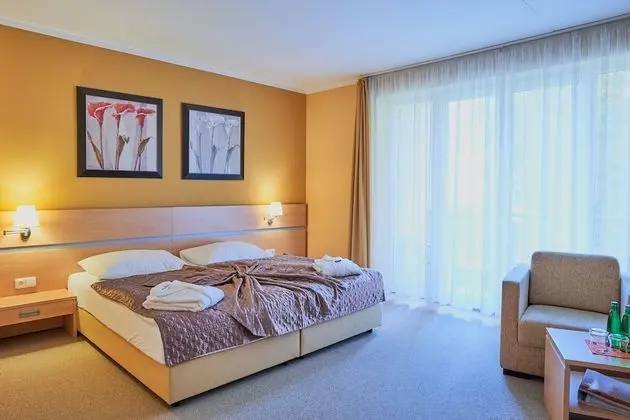 Superior Tek Büyük veya İki Ayrı Yataklı Oda