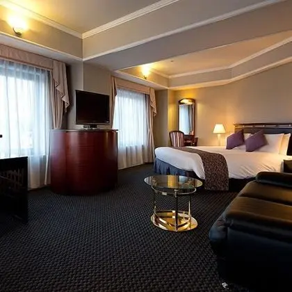 Deluxe Tek Büyük Yataklı Oda, Sigara İçilmez, Köşe