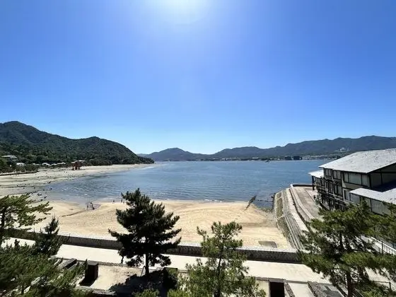 Superior İki Ayrı Yataklı Oda, Okyanus Manzaralı (Superior Twin Room Sea-view)