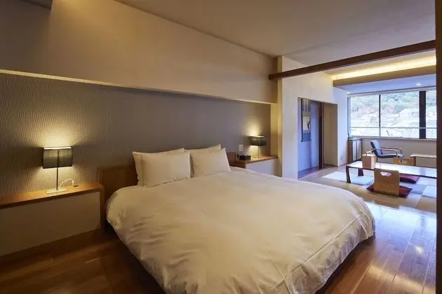 Superior Tek Büyük Yataklı Oda, Dağ Manzaralı (Superior Doublebed Room mountain-view)
