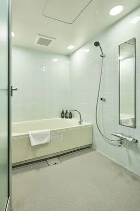 Superior Tek Büyük Yataklı Oda, Dağ Manzaralı (Superior Doublebed Room mountain-view)