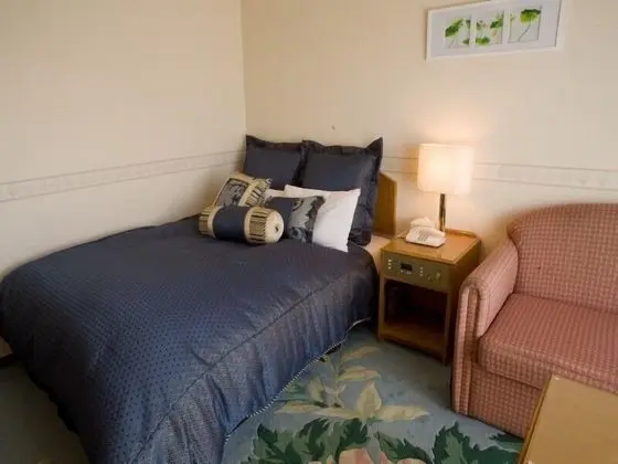 Economy Tek Büyük Yataklı Oda, Sigara İçilmez (Small Double Bed)