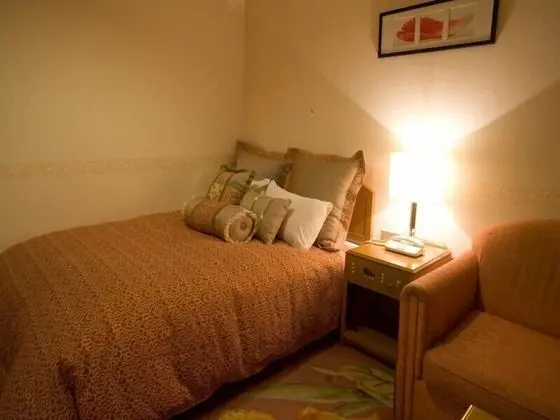 Economy Tek Büyük Yataklı Oda, Sigara İçilmez (Small Double Bed)