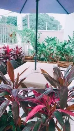 Comfort Oda, 1 Çift Kişilik Yatak, Şehir Manzaralı, Kule