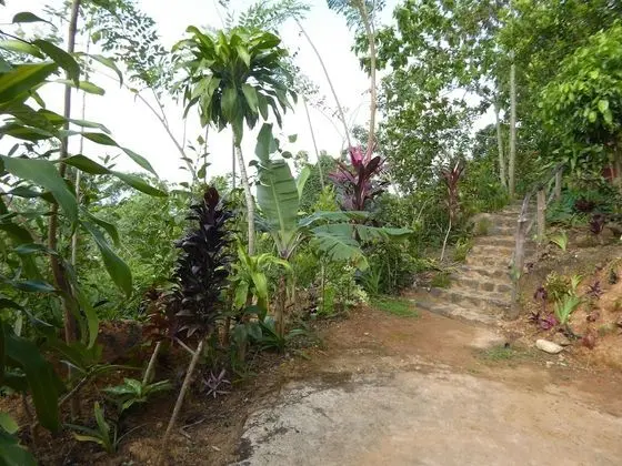 Villa, 1 Yatak Odası, Dağ Manzaralı (Castalia)