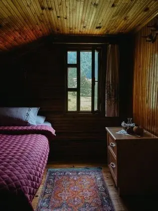 Standart Oda - Dağ Manzaralı